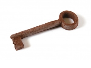 Find Your Productivity Catalyst